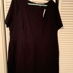 NWT Black Loft Dress with POCKETS